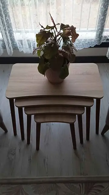 Müşteri fotoğrafı: Erendiz 4lü Ahşap Ayaklı Zigon Sehpa XL Sonoma