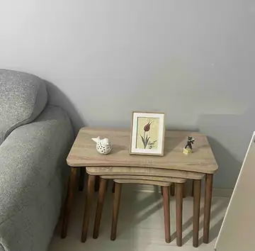 Müşteri fotoğrafı: Erendiz 4lü Ahşap Ayaklı Zigon Sehpa XL Sonoma