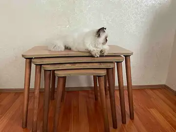 Müşteri fotoğrafı: Erendiz 4lü Ahşap Ayaklı Zigon Sehpa XL Çam