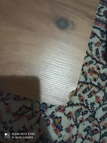 Müşteri fotoğrafı: Erendiz 4lü Ahşap Ayaklı Zigon Sehpa XL Çam
