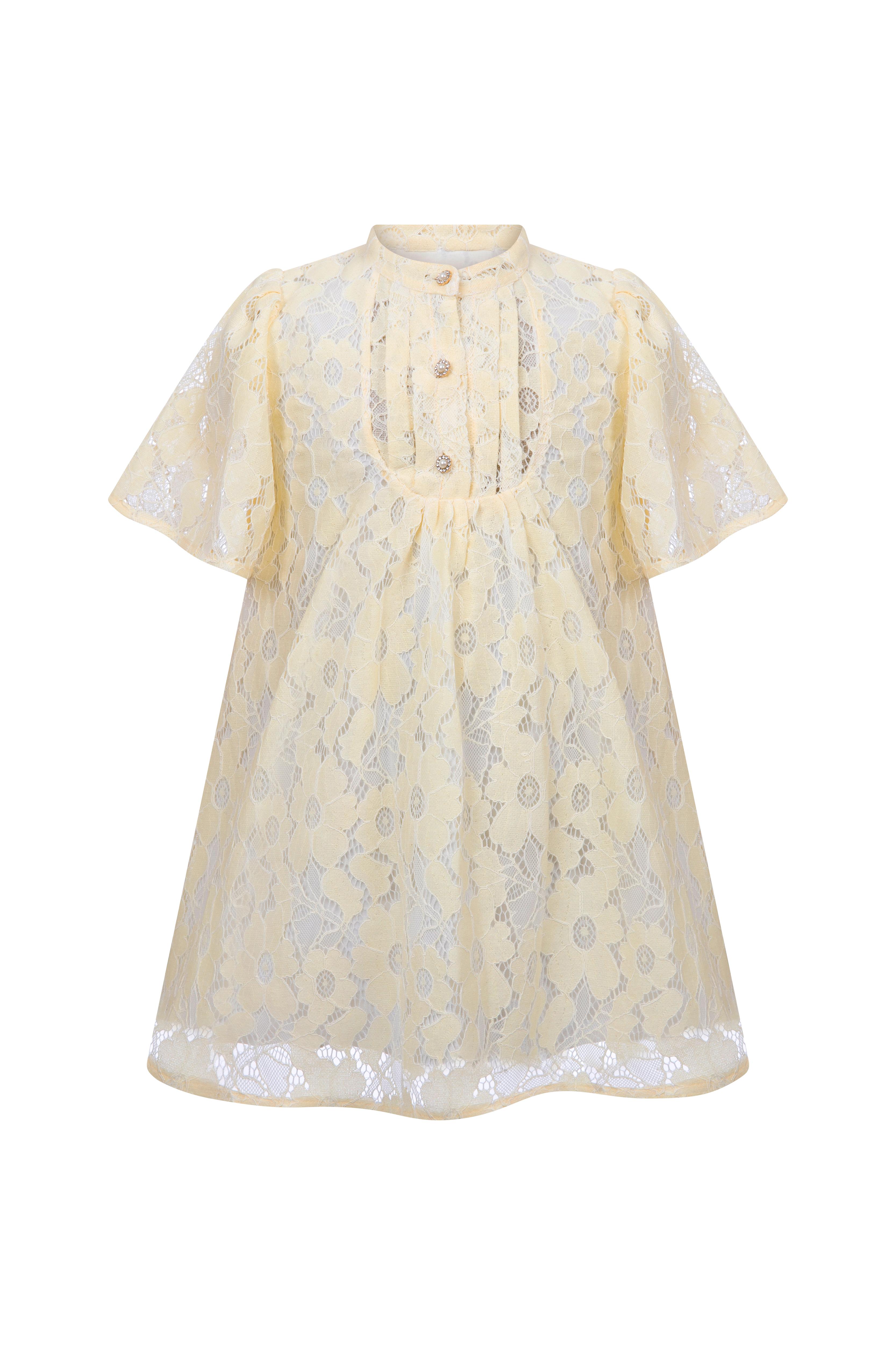 Nancy Dress