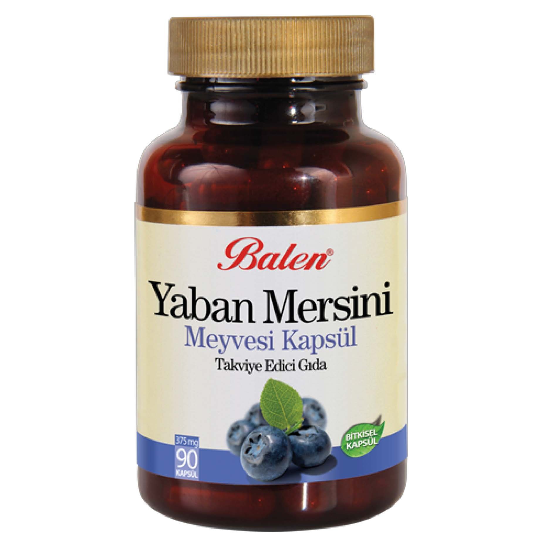 Blueberry ( Yaban Mersini )