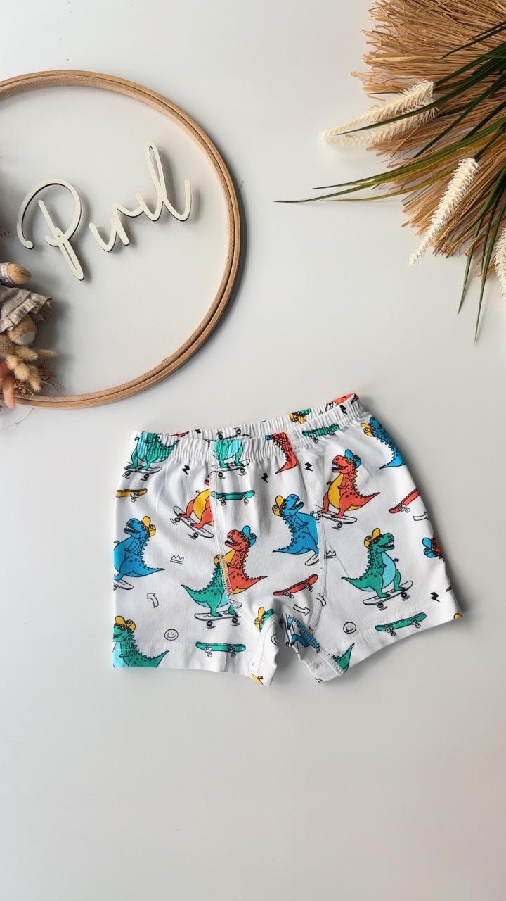 Renkli Dino Atlet Boxer Takım