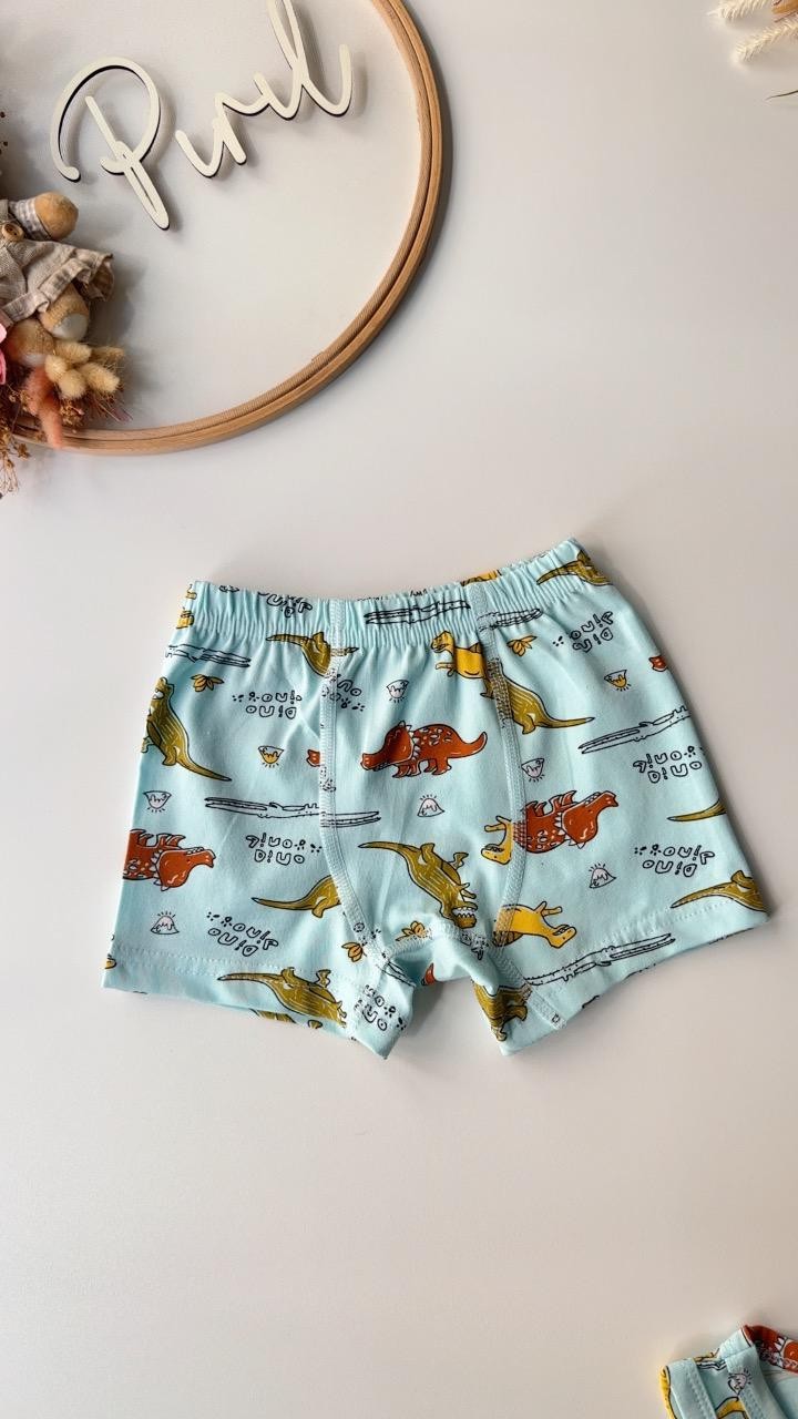 Mavi Dino Atlet Boxer Takım 7031