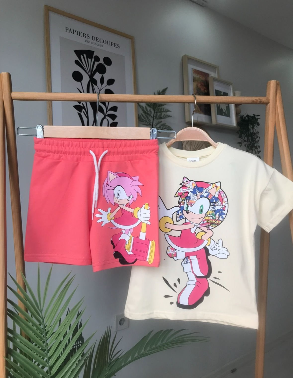 Pembe Sonic Takım