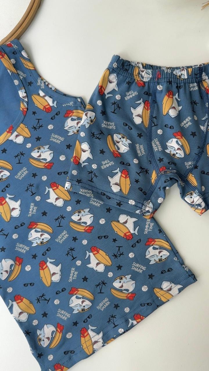 SEVİMLİ KÖPEKBALIĞI  ATLET BOXER TAKIM LACİ