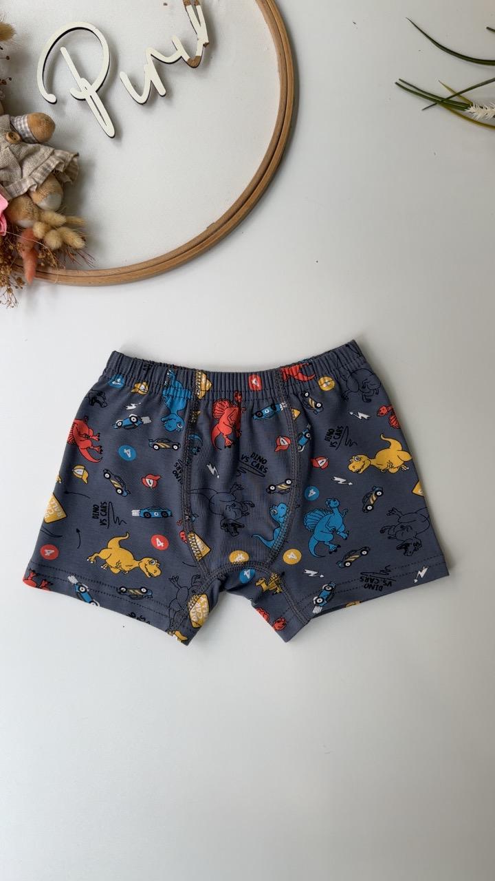 DİNO ATLET BOXER TAKIM LACİ