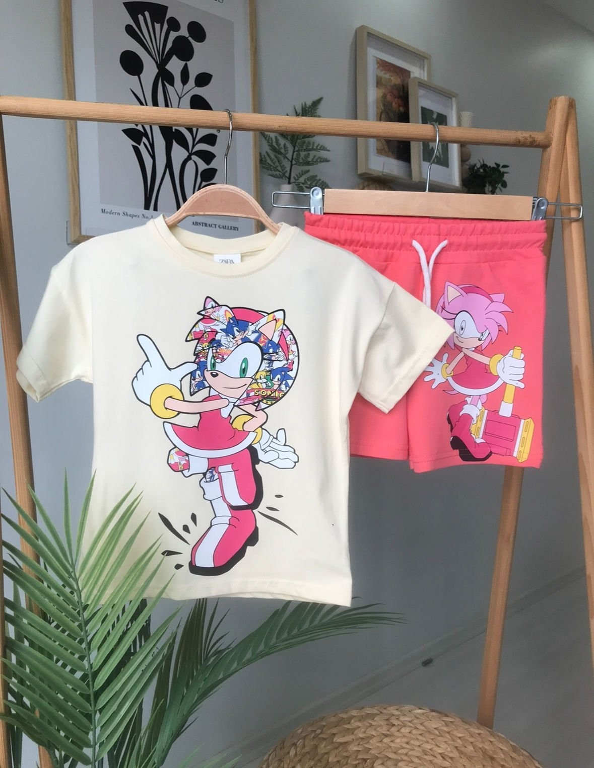 Pembe Sonic Takım
