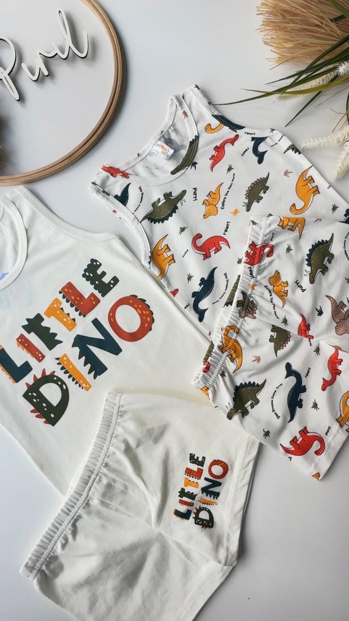 Little Dino ATLET BOXER 4'LÜ SET 