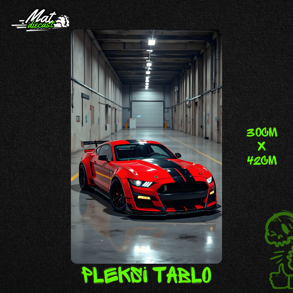 PLEKSİ TABLO ÇEŞİTLERİ