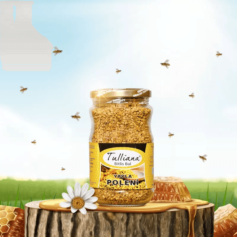 bal-polen-karisiminin-faydalari