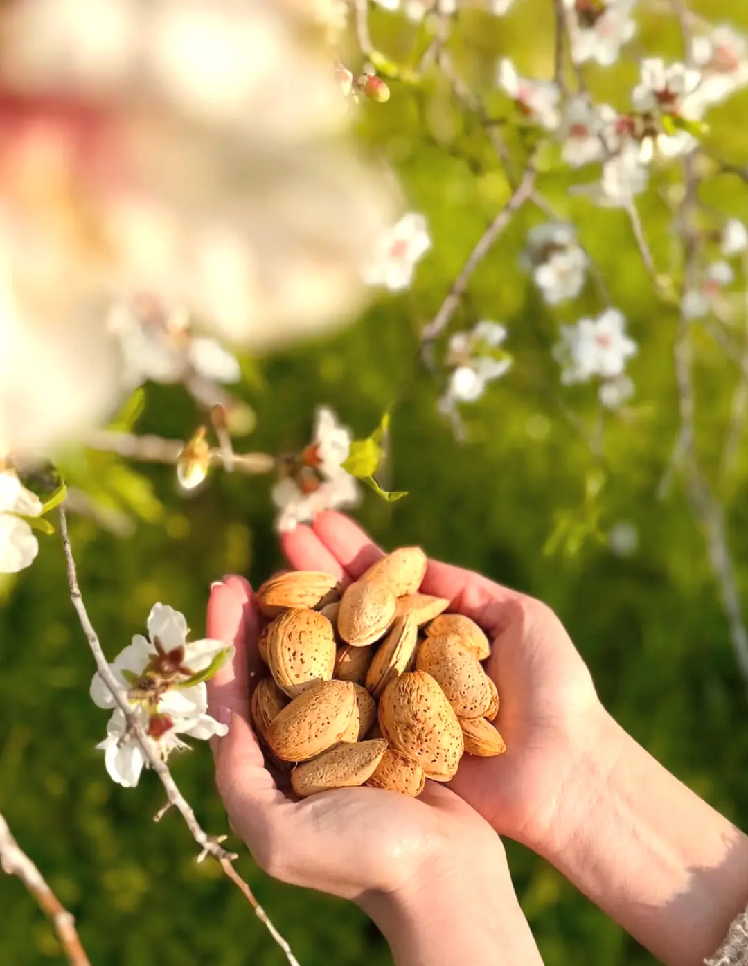 BallıBadem Ürünü