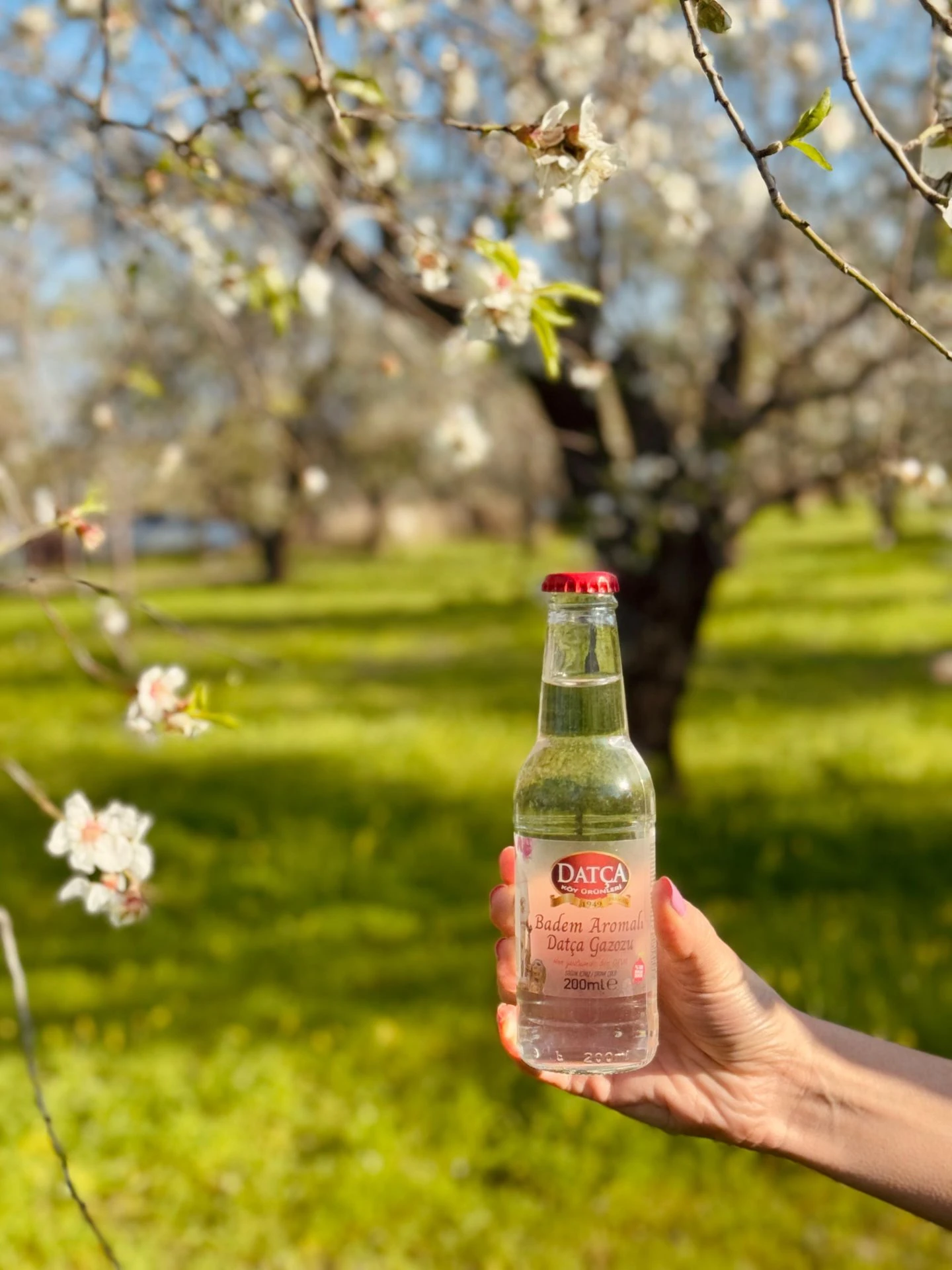 Datça Badem Aromalı Gazoz 200 ML