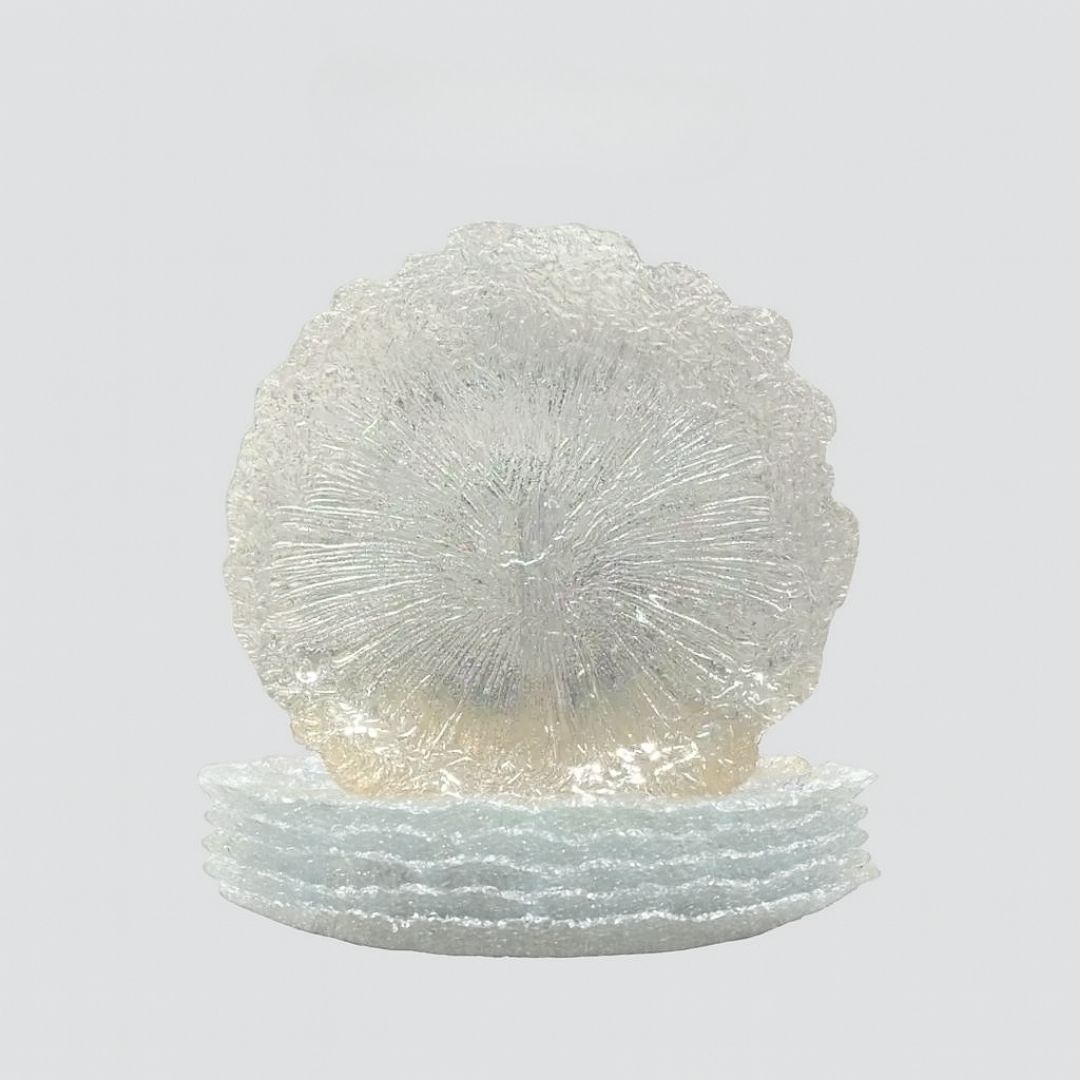 Es Home Canthreal 22 cm 6 Parça Pasta Tabağı/Tatlı Seti