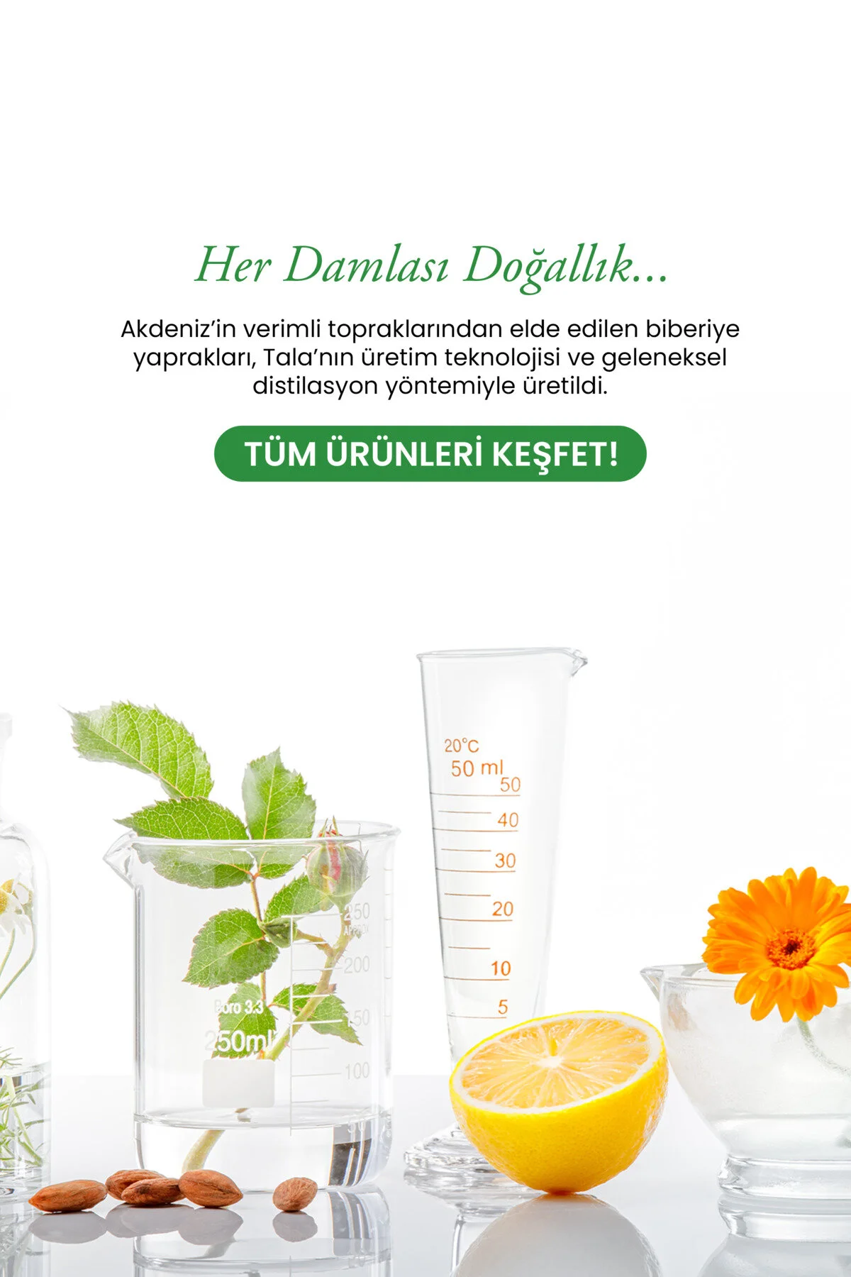 Biberiye Suyu Güçlendirici Saç Toniği %100 Saf Ve Doğal Hızlı Saç Uzatma Dökülme Karşıtı 100 Ml