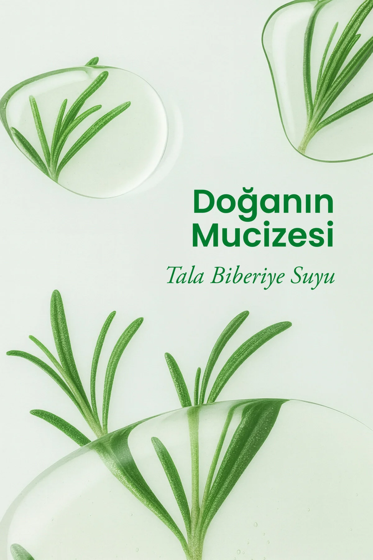 Biberiye Suyu Güçlendirici Saç Toniği %100 Saf Ve Doğal Hızlı Saç Uzatma Dökülme Karşıtı 100 Ml