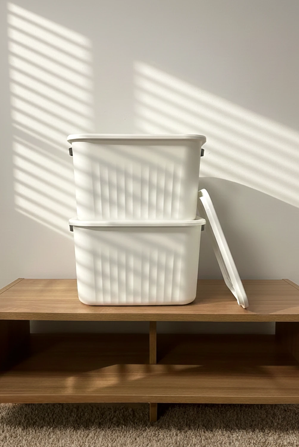 Colors 2'li Çok Amaçlı Saklama Kutu 20 Lt Beyaz