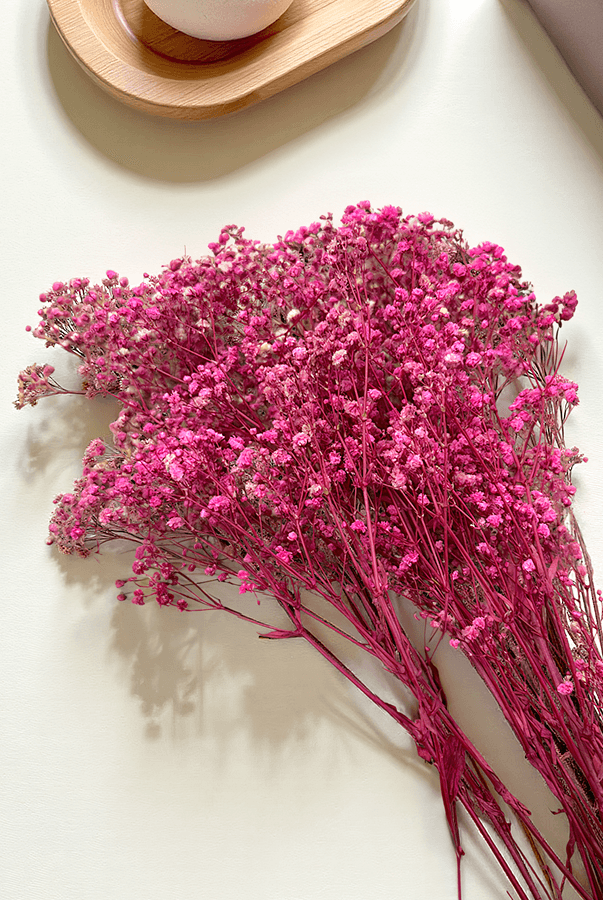 Cassia Cipso Kuru Bitki Pembe