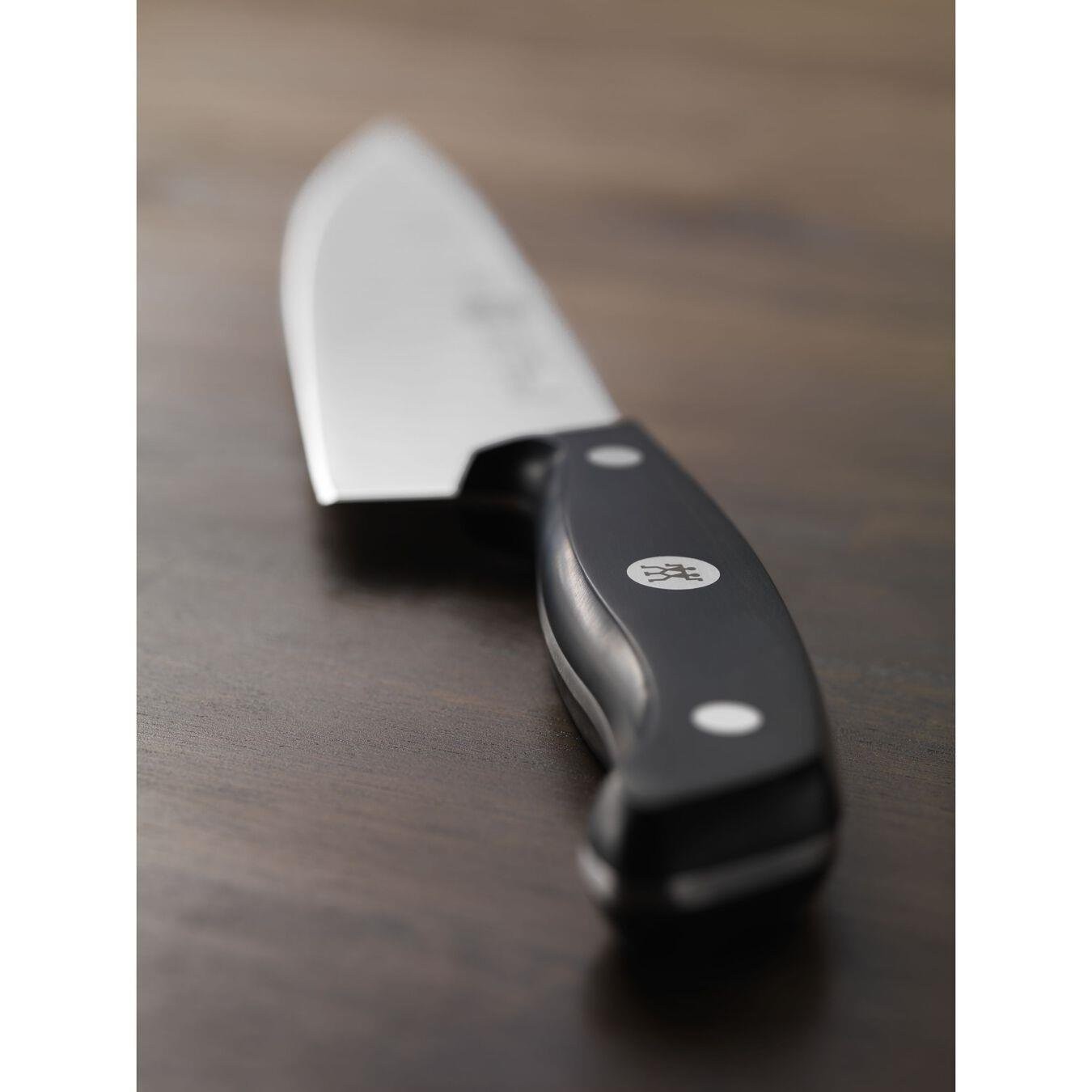 Zwilling 361112010 Gourmet Şef Bıçağı