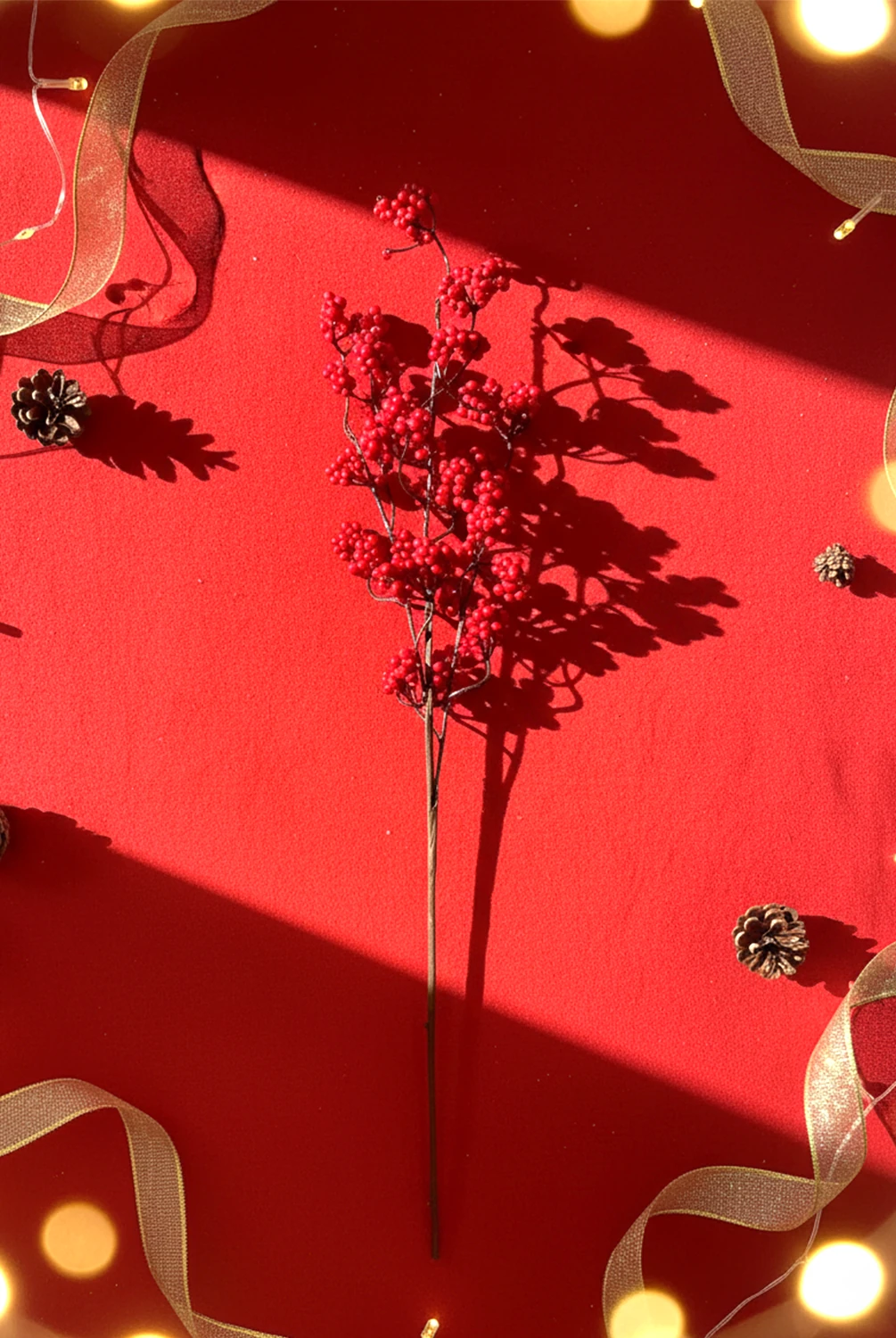 New Year Tek Dal Kokina 60cm