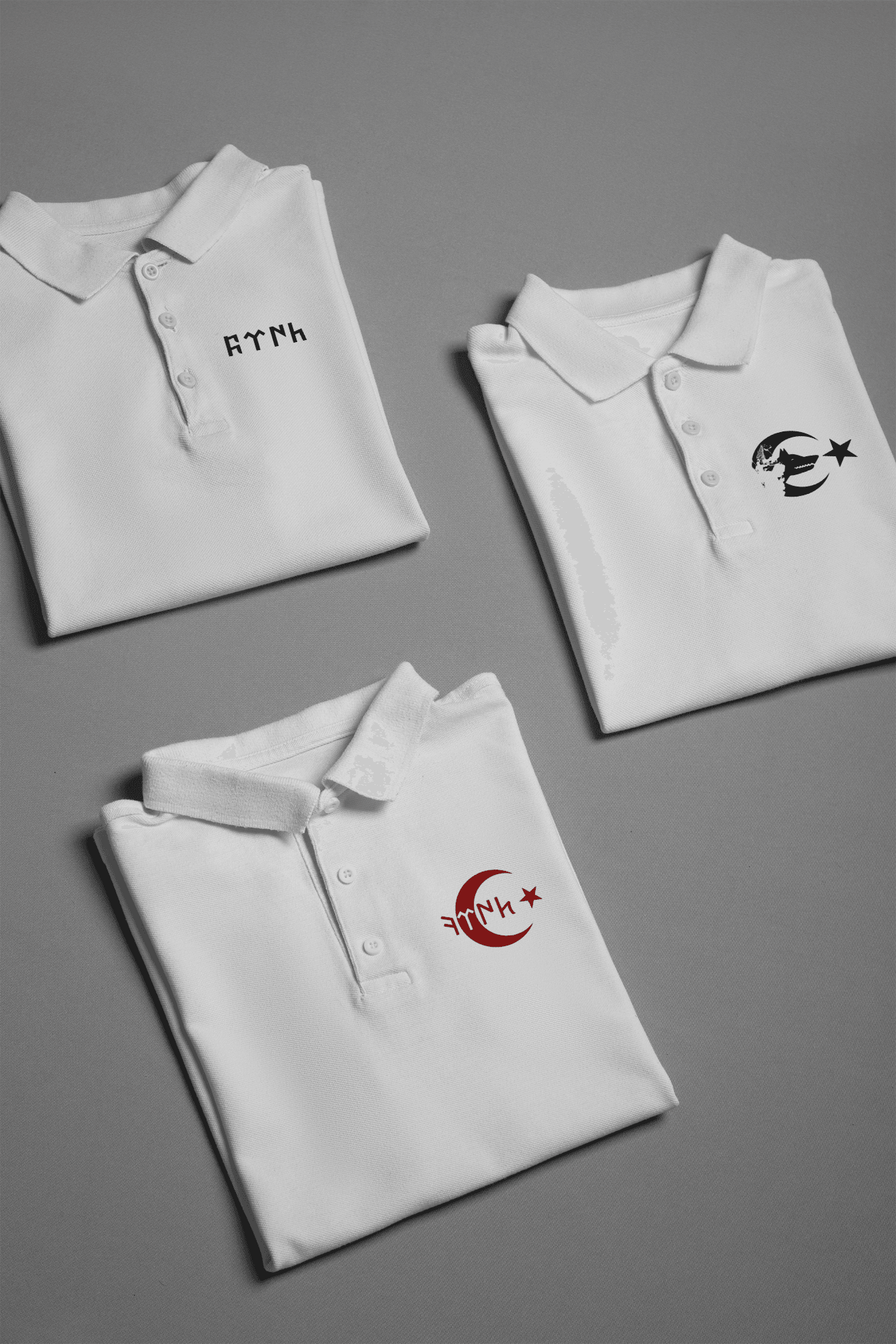3 Al 2 Öde Göktürk Koleksiyon Polo Yaka