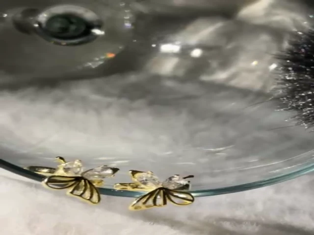 KELEBEK  HALKA GÜMÜŞ ZİRKON TAŞLI KÜPE