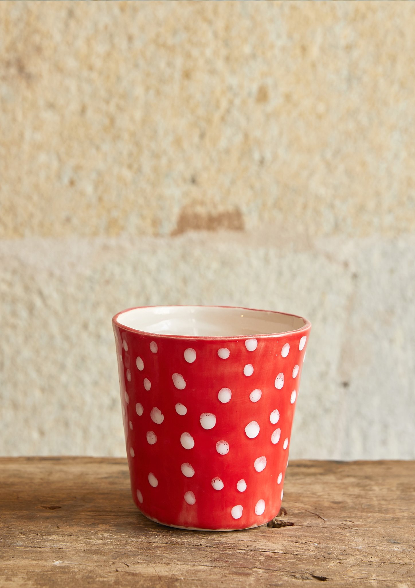 Ceramic Flower Pot