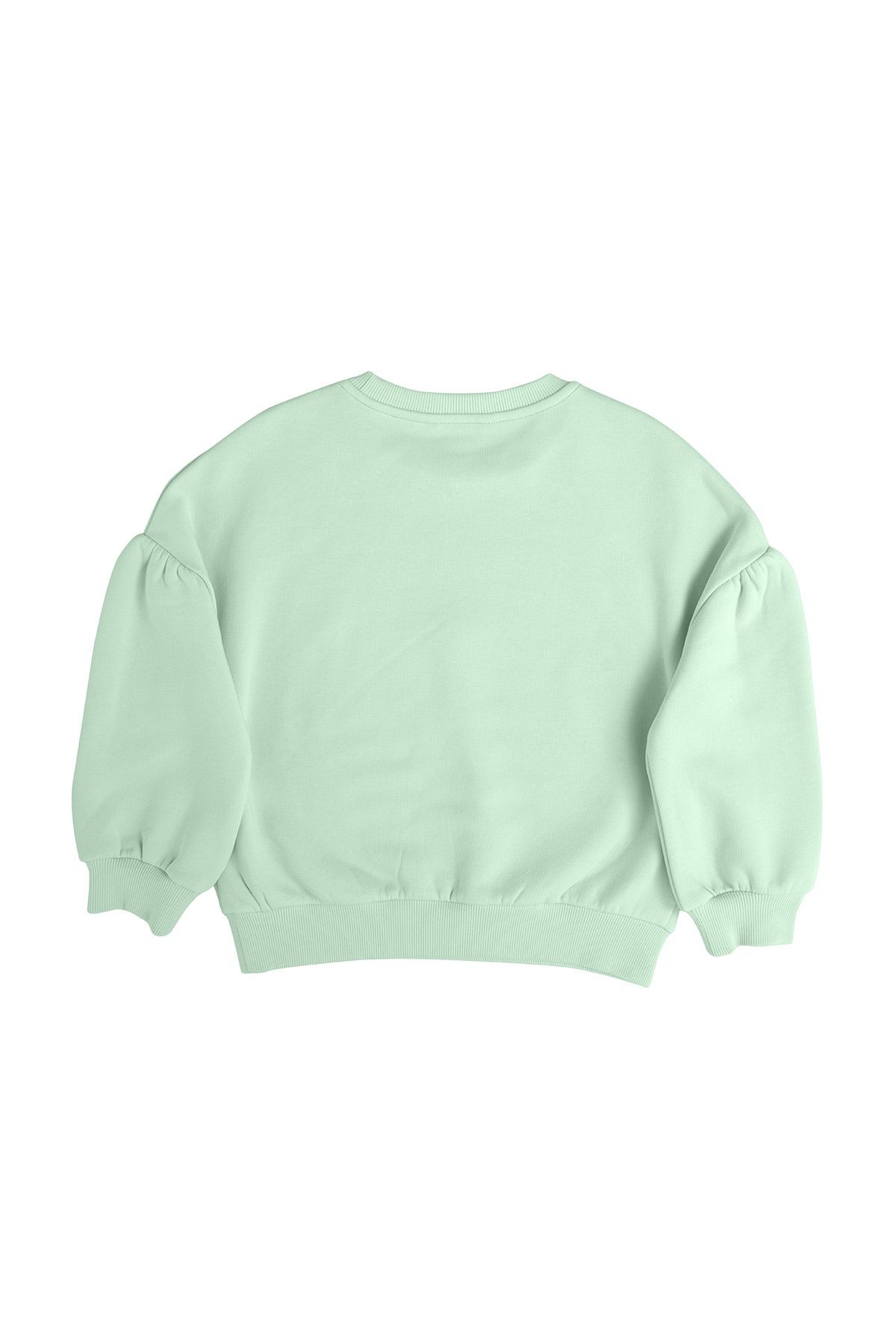Kız Çocuk Yeşil Nakış Detaylı Sweatshirt