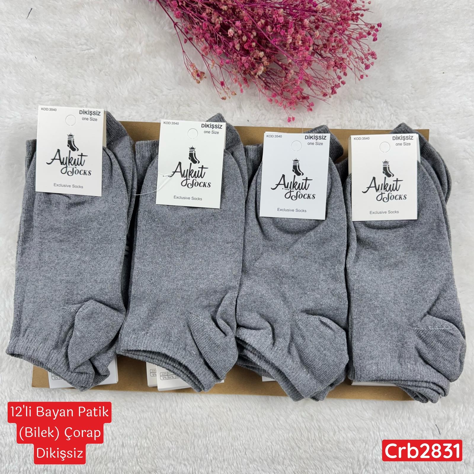 ZV-098 Bayan Patik(Bilek) Çorap (Dikişsiz) 12 ADET