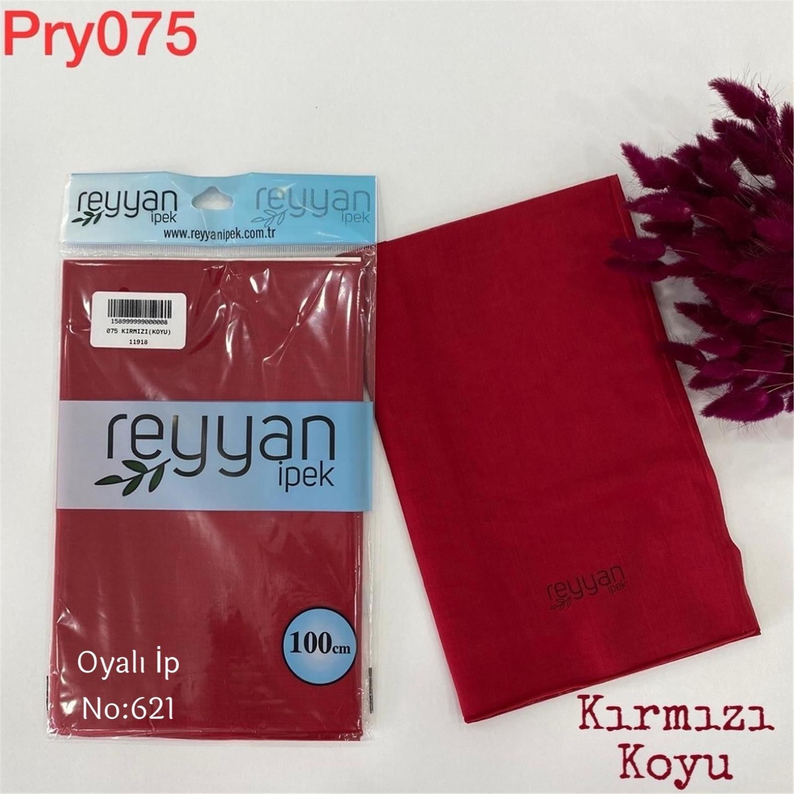 G-051 Reyyan Paket Yazma