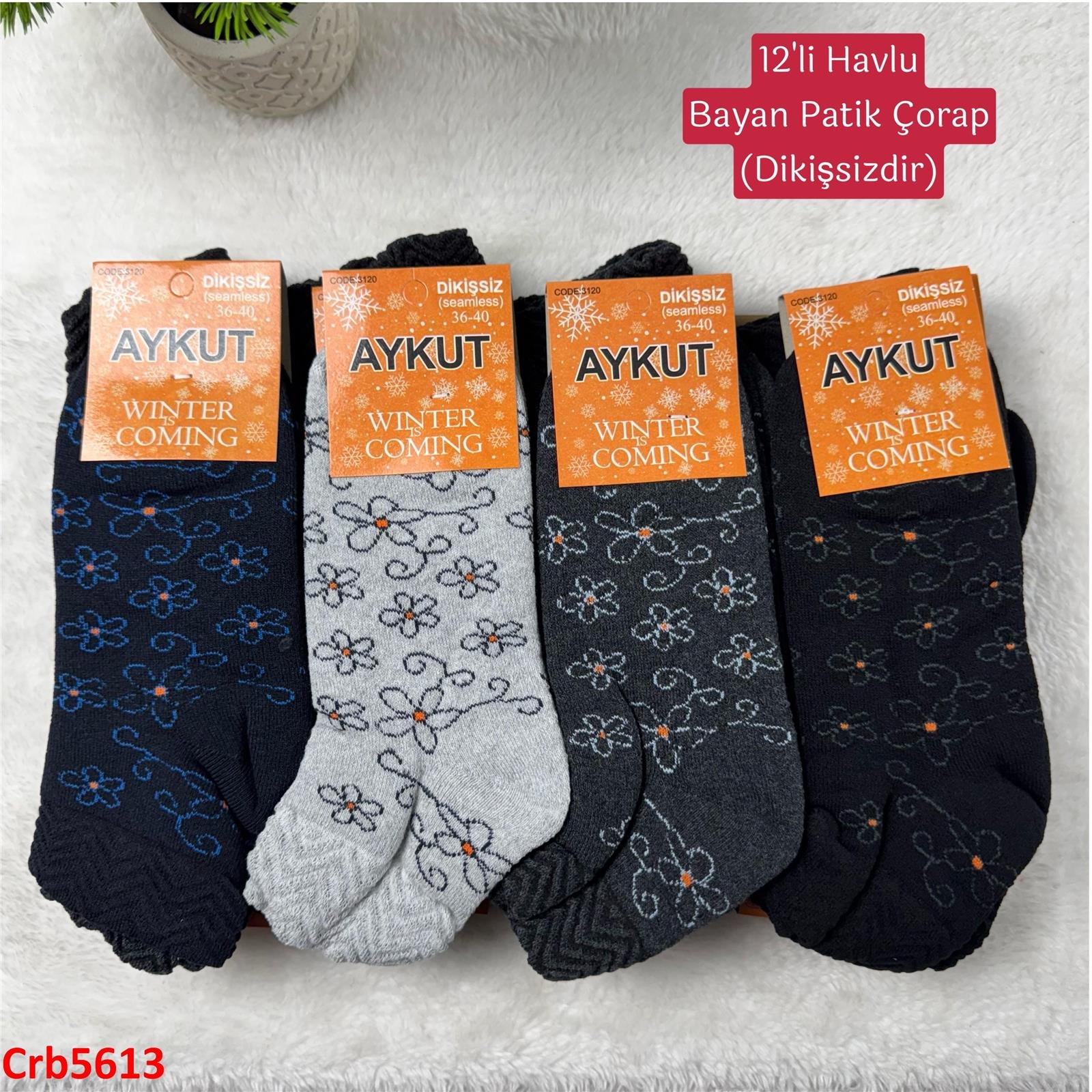 ZV-211 Havlu Bayan Patik Çorap 12 Adet