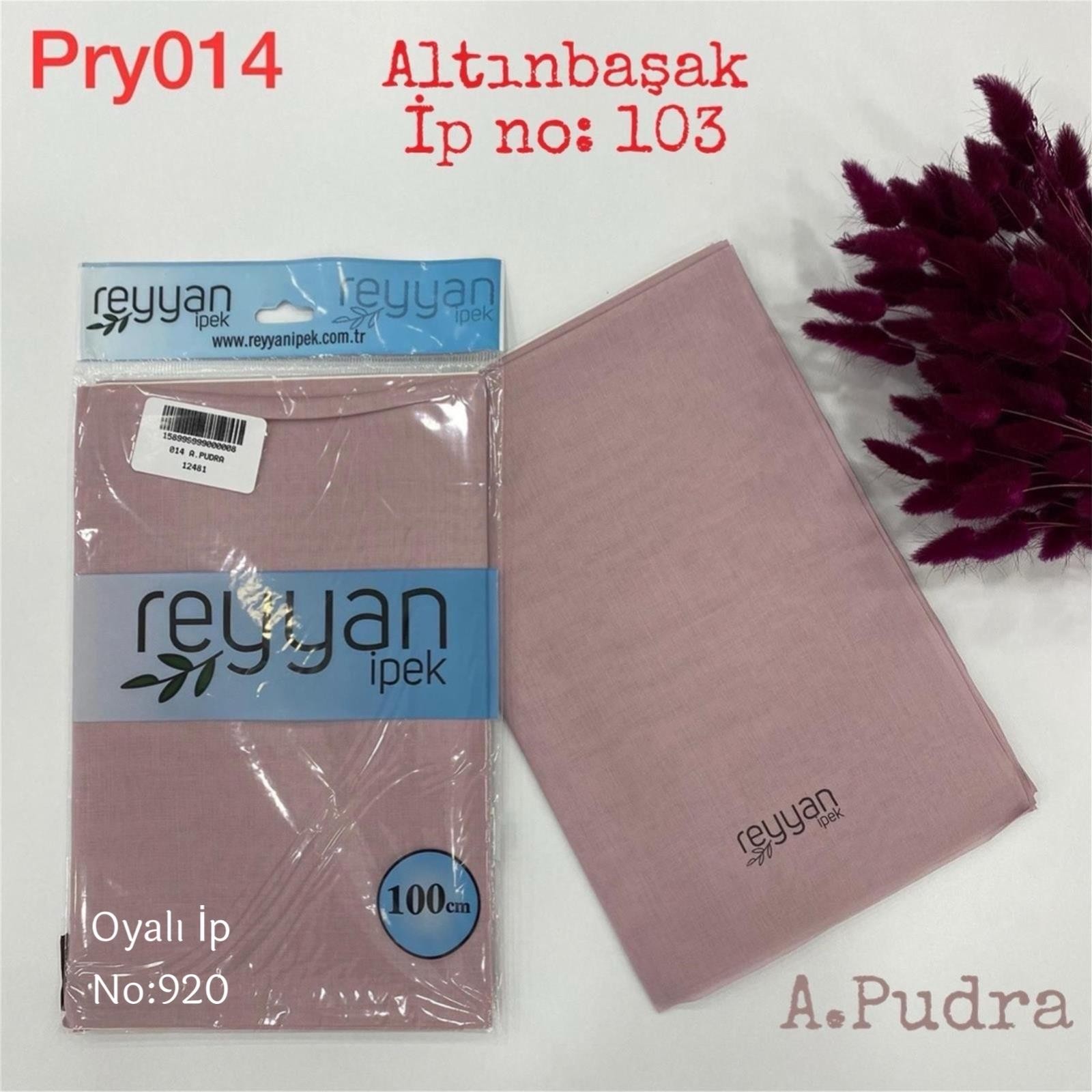 G-011 Reyyan Paket Yazma