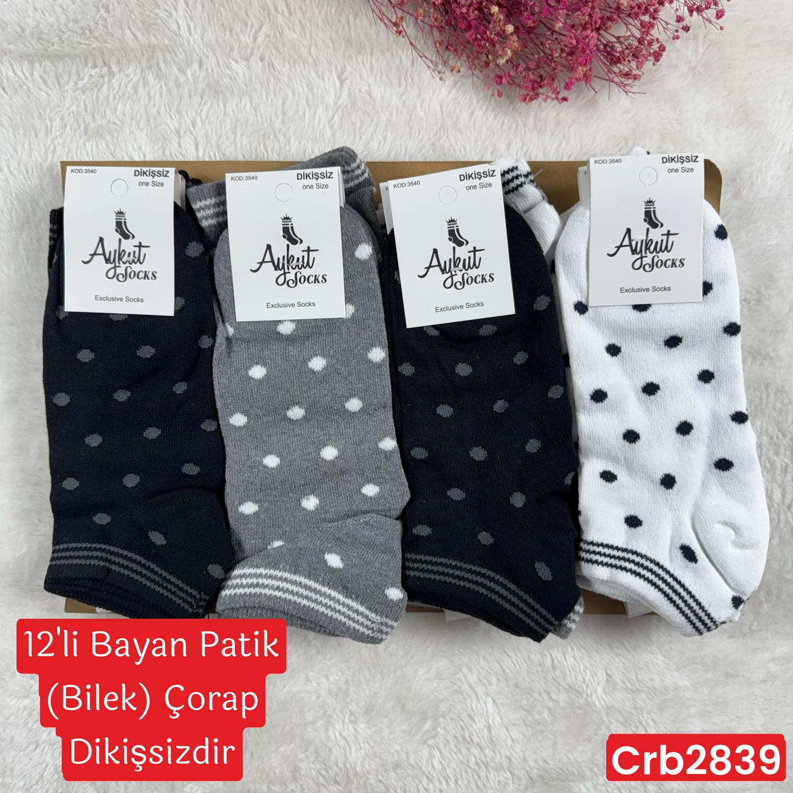 ZP-056 Bayan Patik(Bilek) Çorap (Dikişsiz) 12 ADET