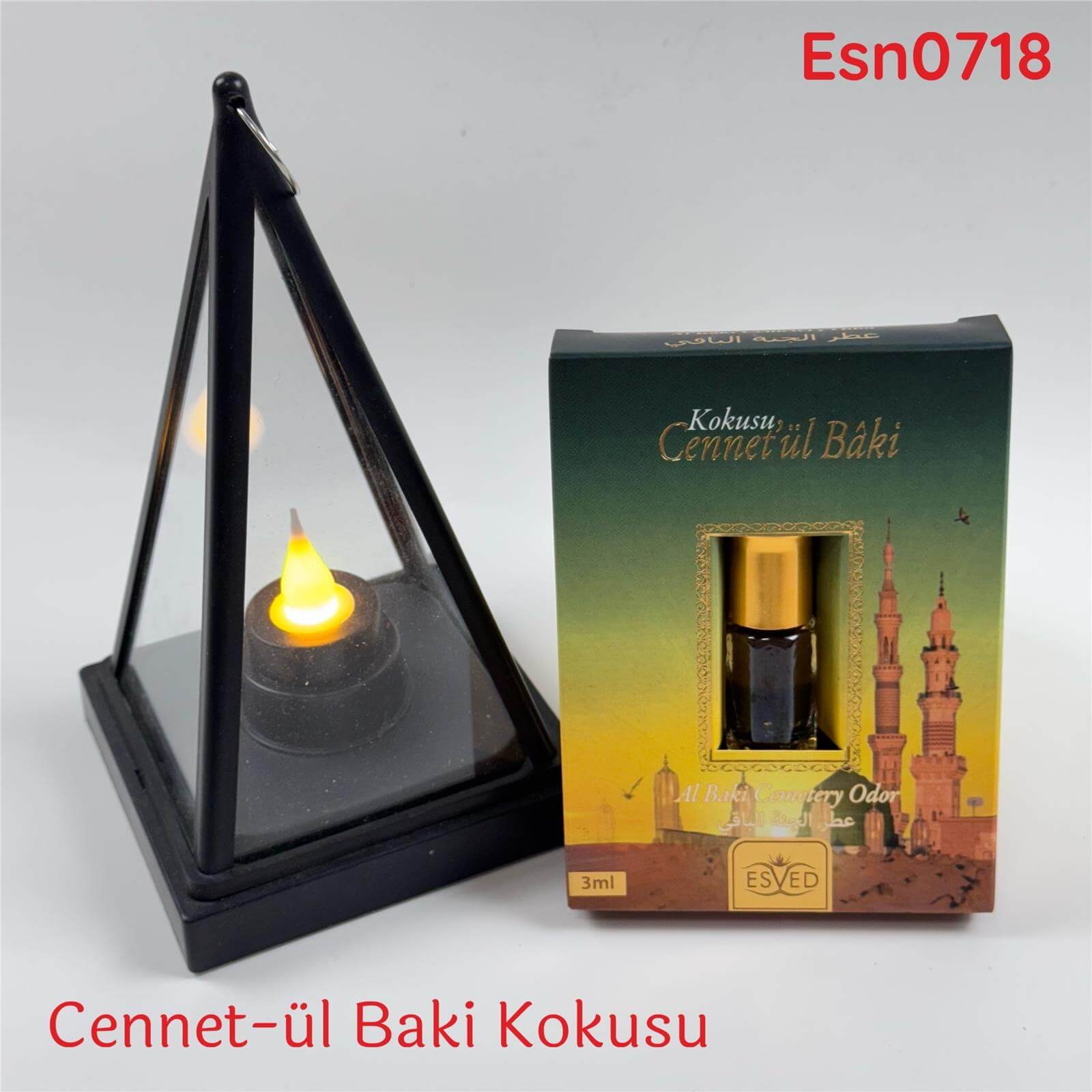 O-376 Cennet-ül Baki Kokusu