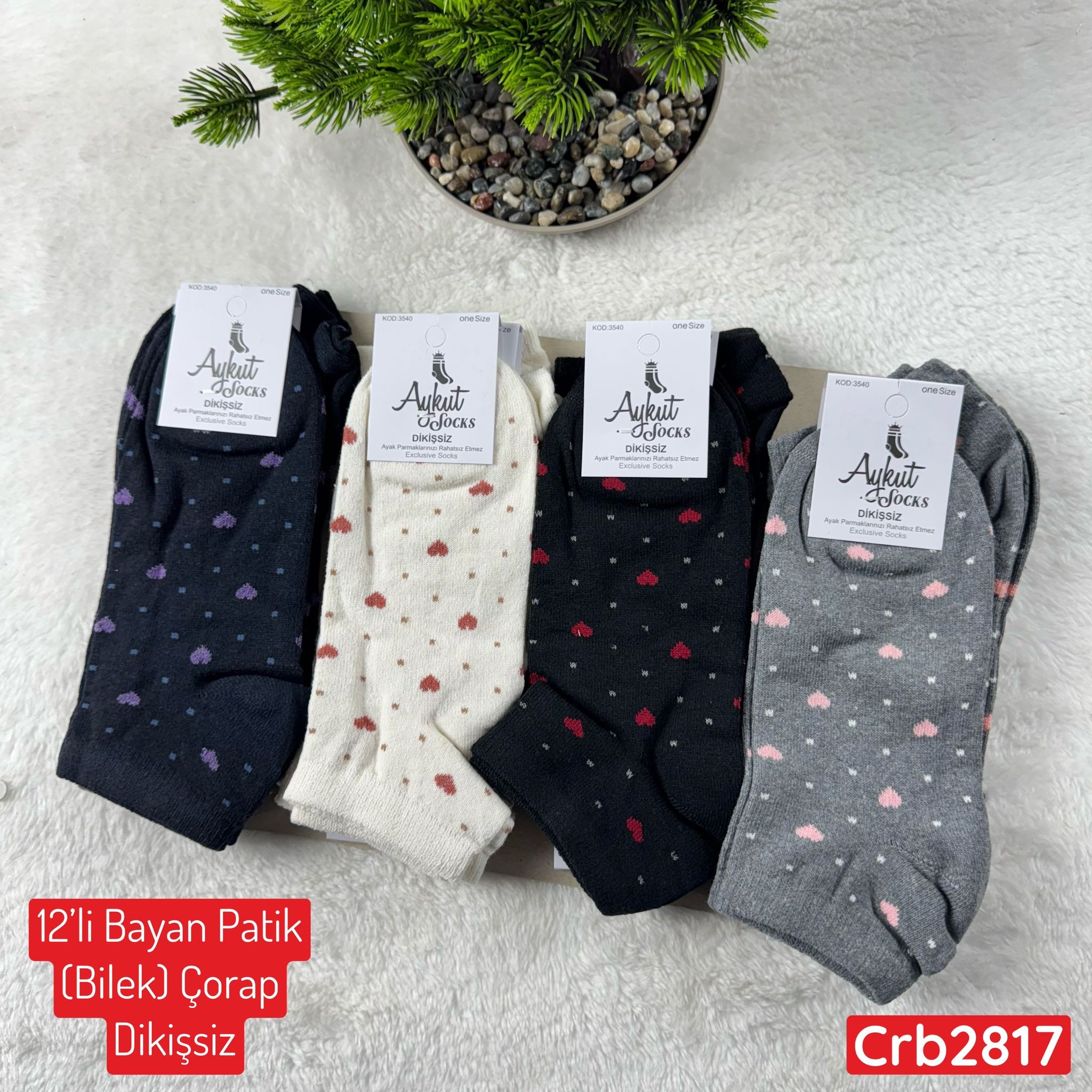 ZV-246 Bayan Patik(Bilek) Çorap (Dikişsiz) 12 ADET