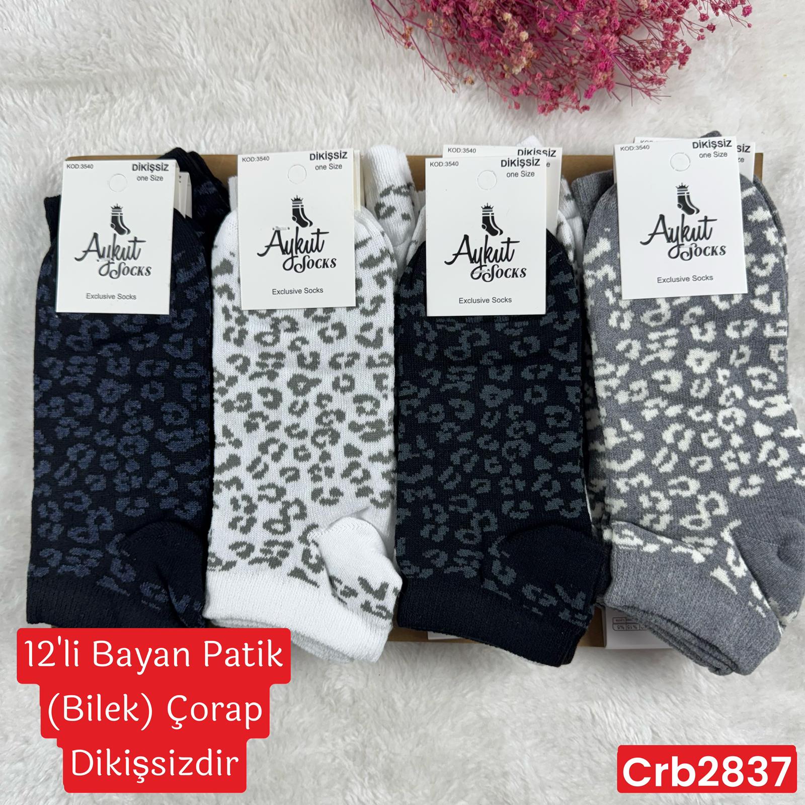 ZP-019 Bayan Patik(Bilek) Çorap (Dikişsiz) 12 ADET