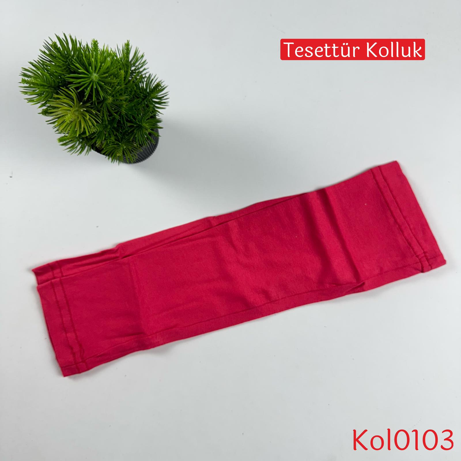 A-841 Kolluk