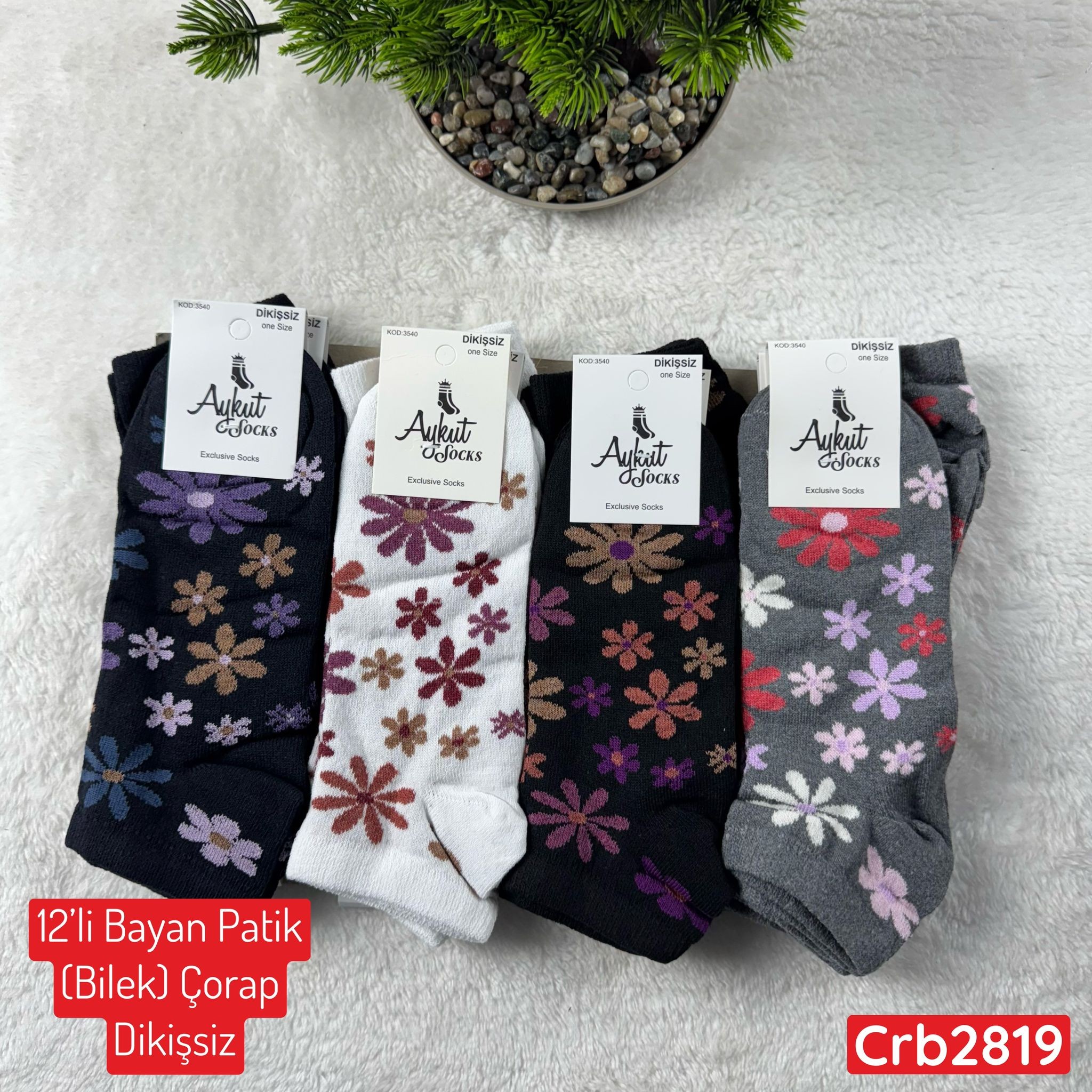 ZV-251 Bayan Patik(Bilek) Çorap (Dikişsiz) 12 ADET