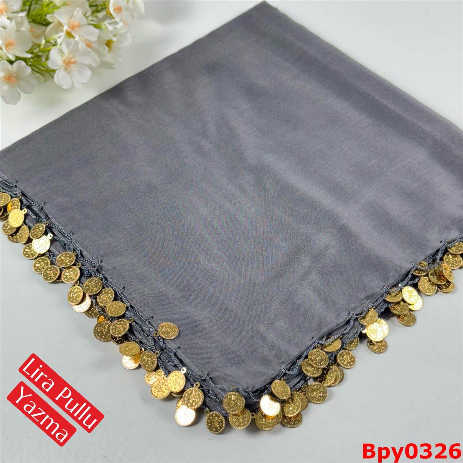 M-240 Lira Pullu Yazma