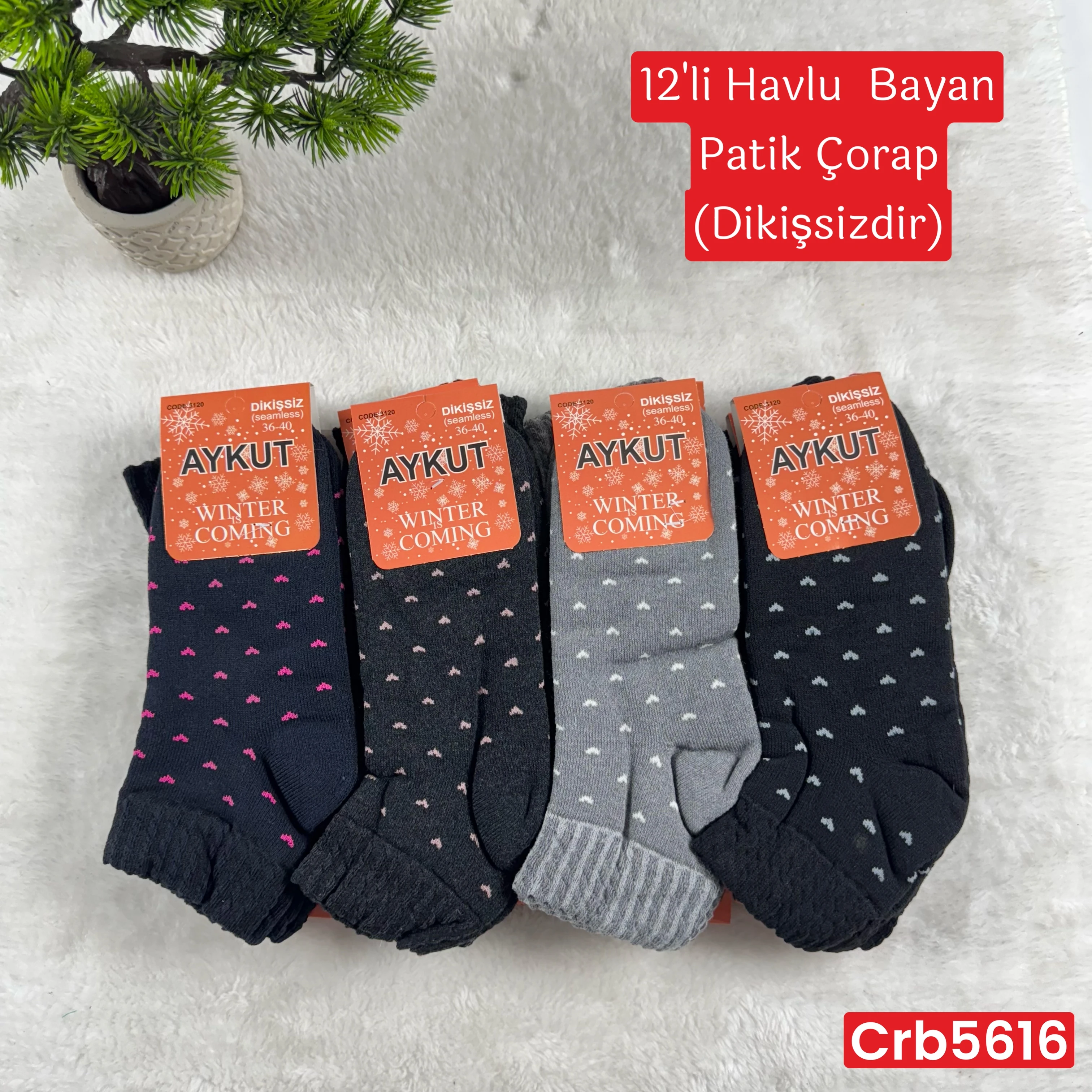 ZV-433 Havlu Bayan Patik Çorap 12 Adet