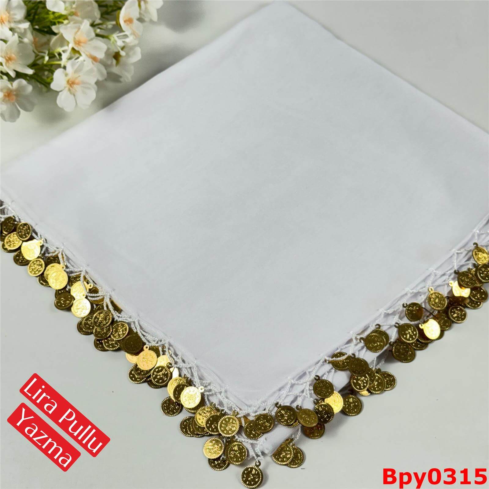 M-220 Lira Pullu Yazma