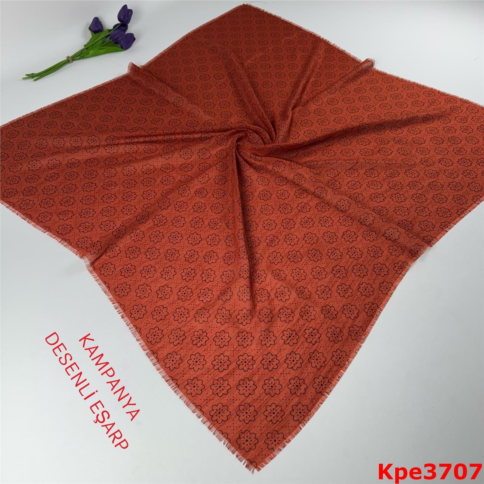 ZH-045 Kampanya Desenli Eşarp