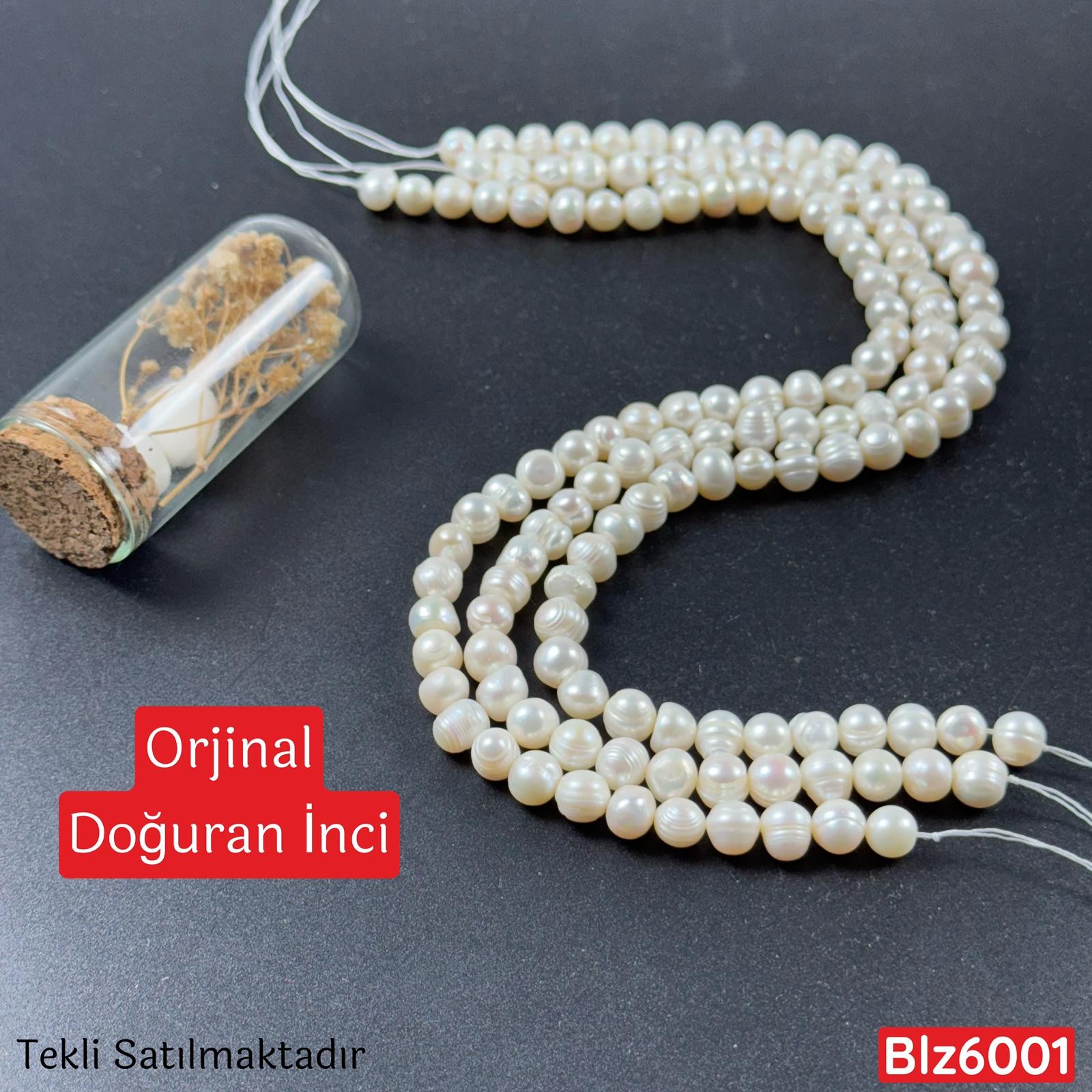 ZC-086 Orjinal Doğuran İnci