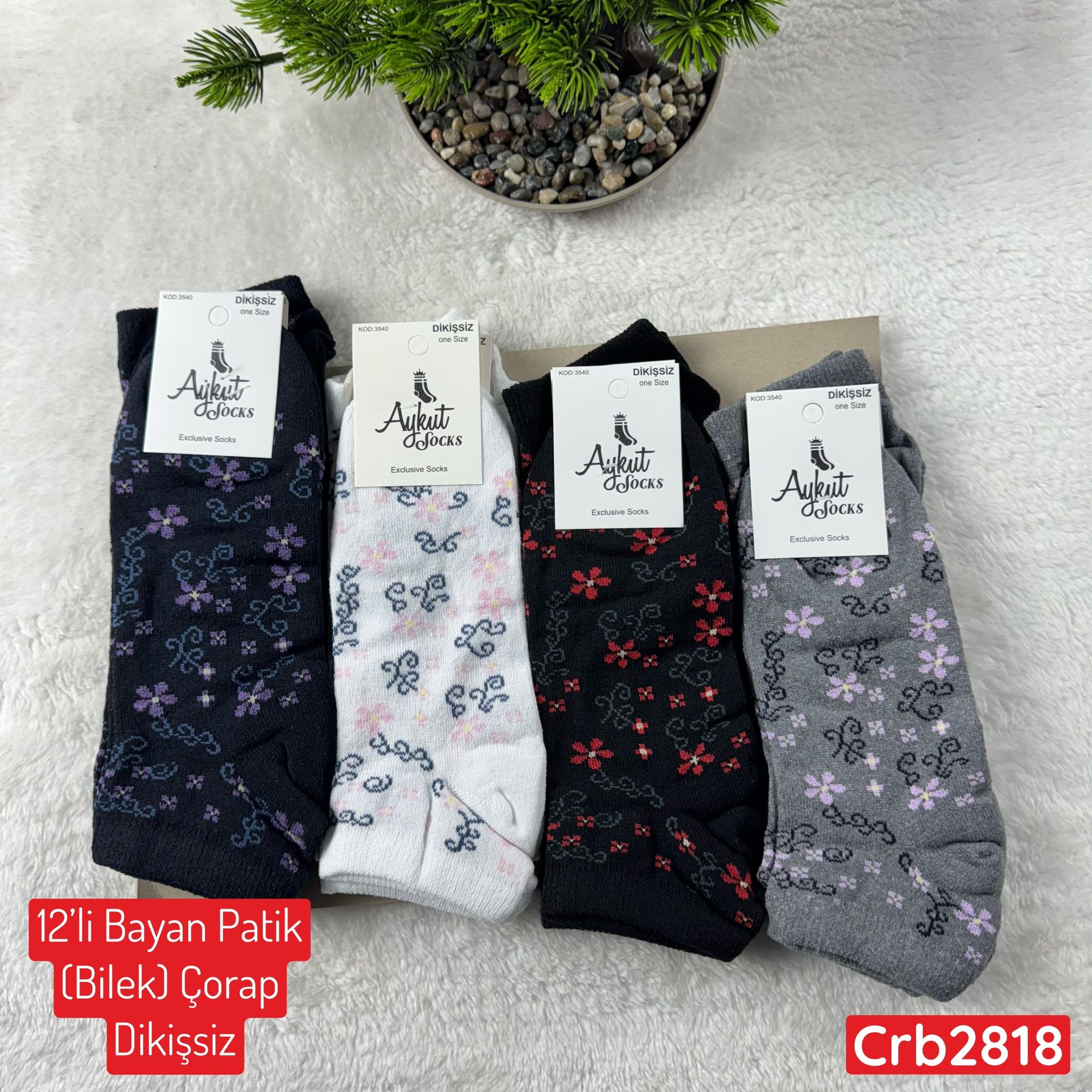ZV-248 Bayan Patik(Bilek) Çorap (Dikişsiz) 12 ADET