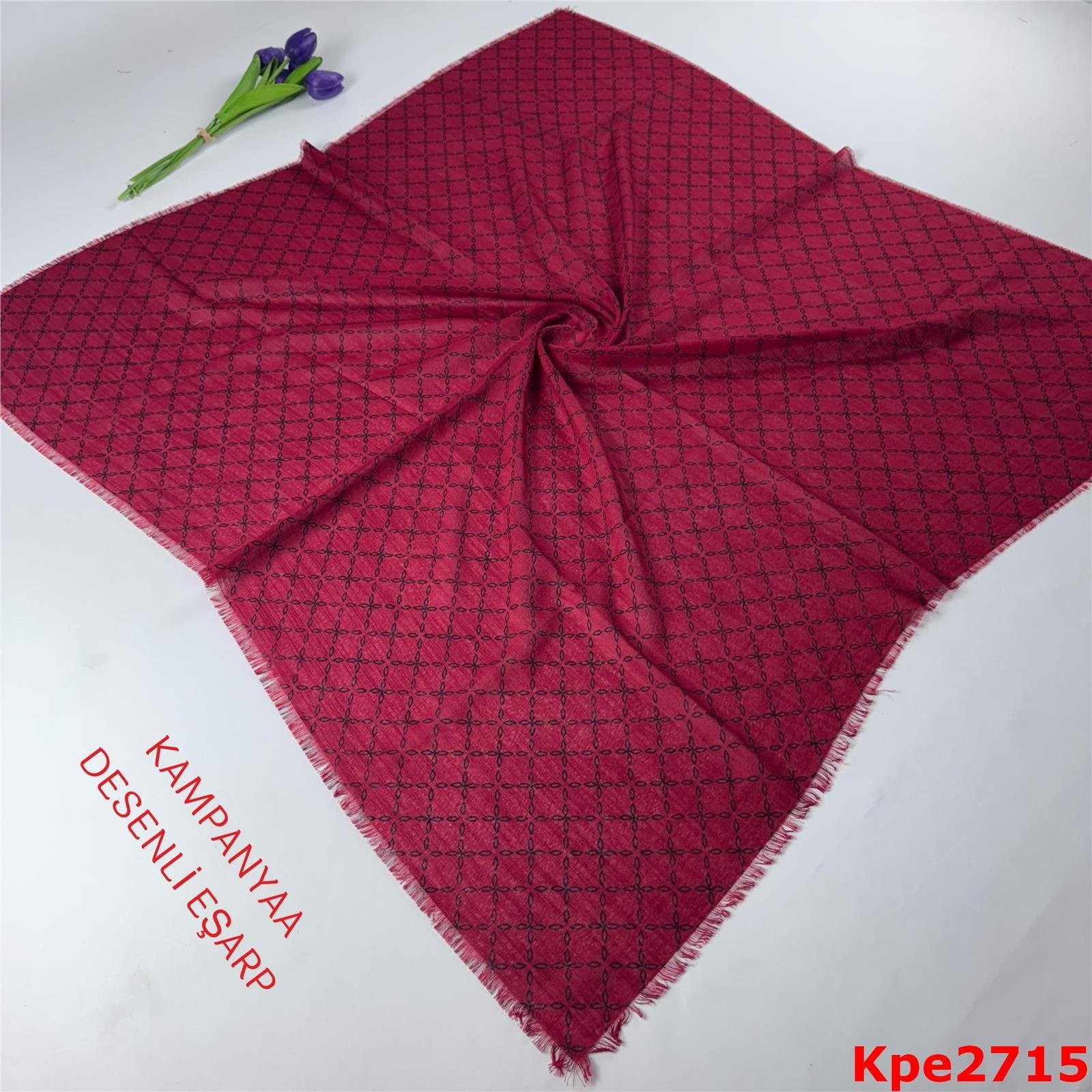 ZH-043 Kampanya Desenli Eşarp