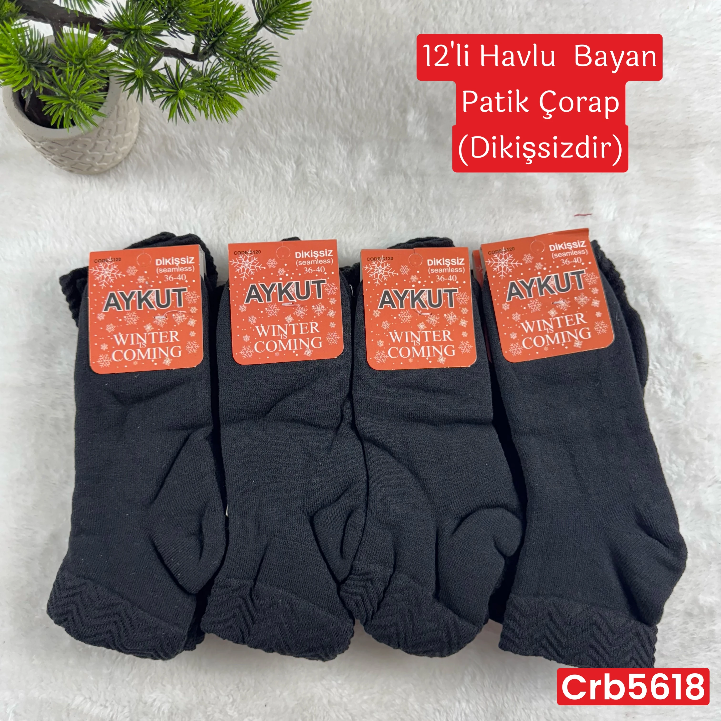 ZV-435 Havlu Bayan Patik Çorap 12 Adet