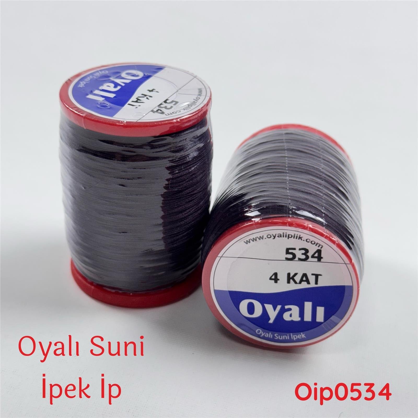 R-031 Oyalı 50gr Suni İpek İp