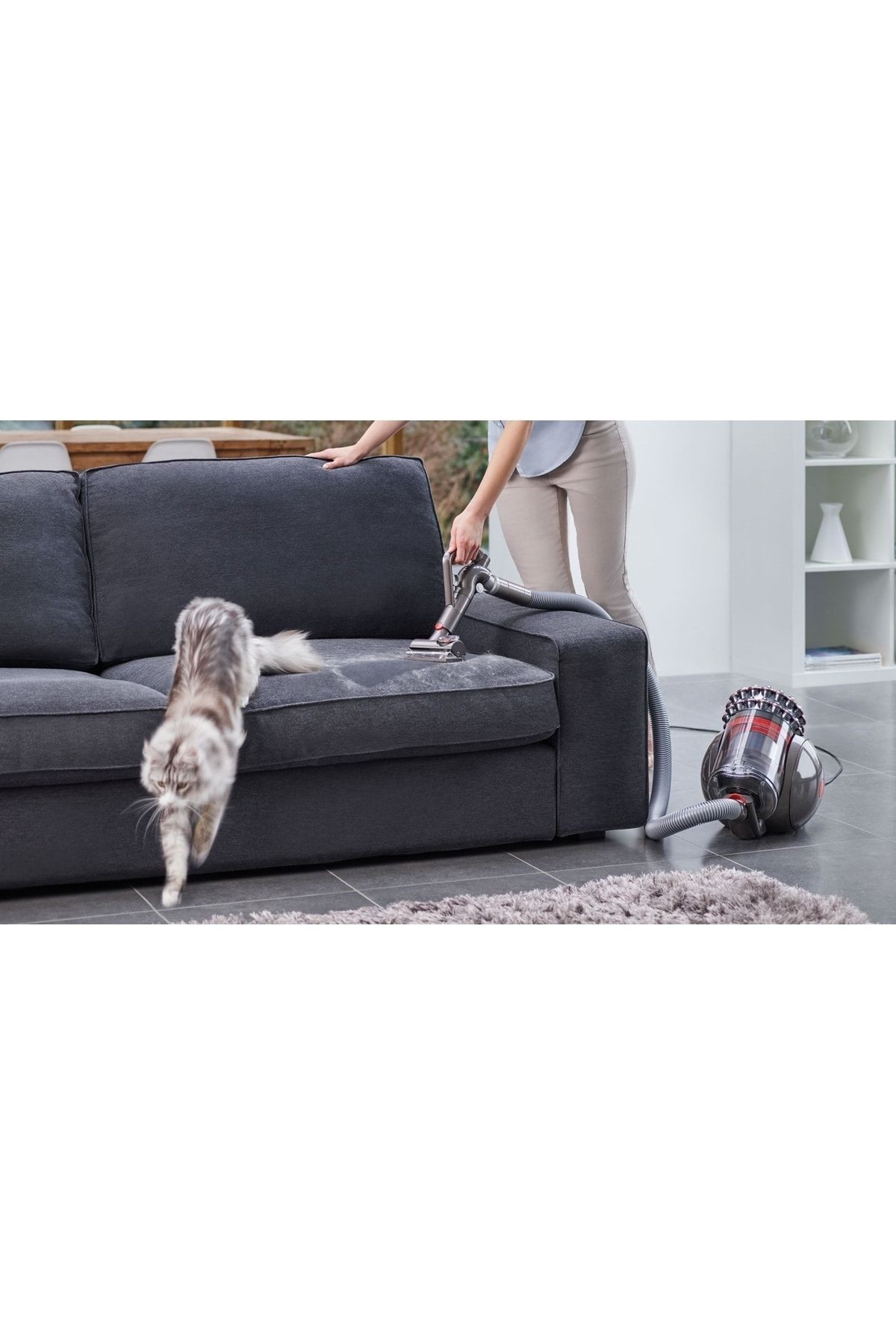 Cinetic Big Ball Animal Pro2 Elektrikli Süpürge Toz Torbasız