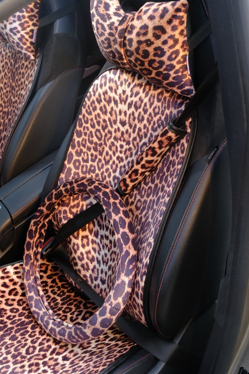 Leopar Çift
