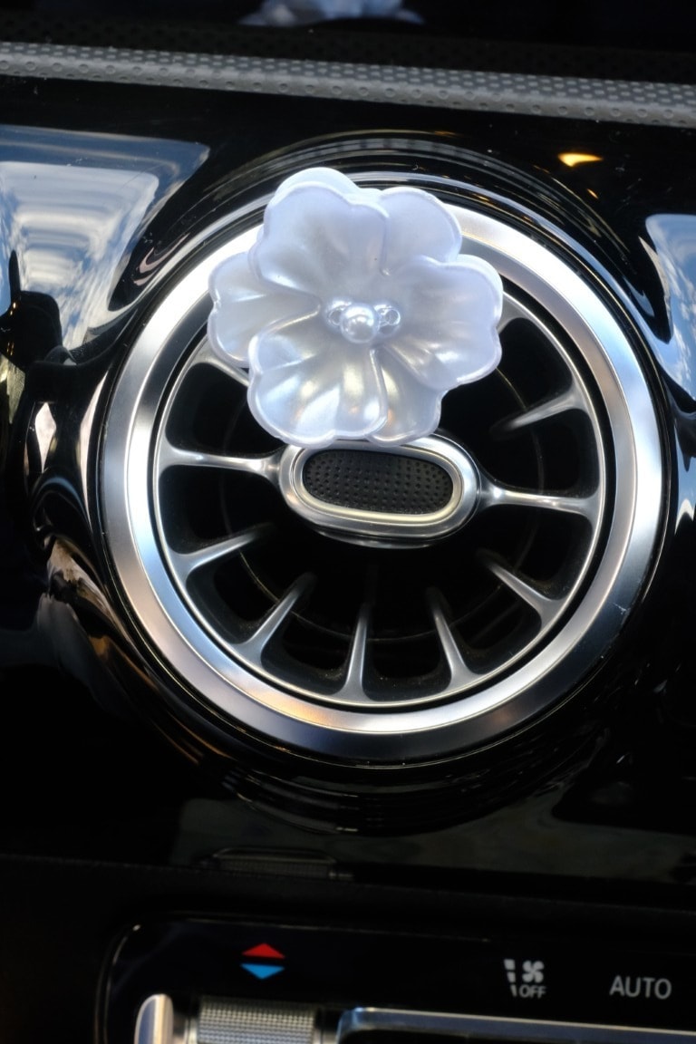 Safir çiçek Klima Kokusu